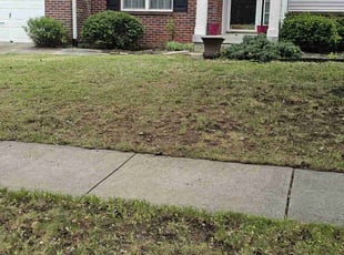 Leaf Removal by David Garcia for Pamela A. in Westfield, IN