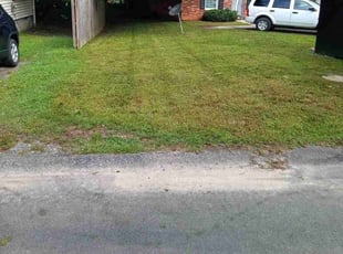 Yvonne H.'s Lawn Mowing Service service result