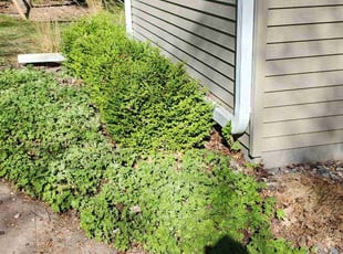 Leaf Removal by Cheth Kuch for Jana W. in Rochester, MN