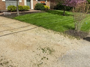 Jason A.'s Yard Cutting service result