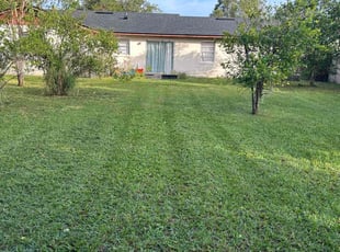 Maxine M.'s Lawn Mowing service result