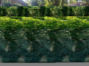Kevin L.'s Grass Cutting service result