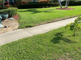 Claude R.'s Lawn Mowing service result