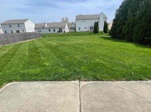 Shelia B.'s Lawn Maintenance service result