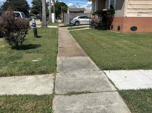 Lee P.'s Lawn Mowing service result