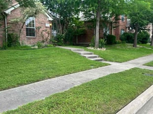 Randall K.'s Lawn Mowing Service service result