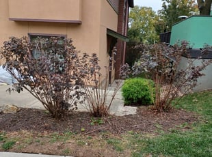 Cleanups by Jeffery Hartupee for Tye B. in Kansas City, MO