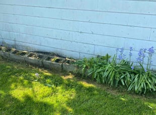 Weeding by James Serio for William I. in Rochester, NY