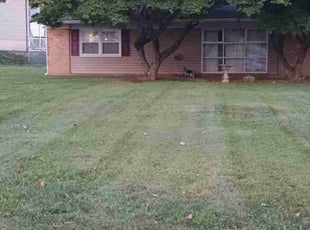 Savannah W.'s Lawn Service service result