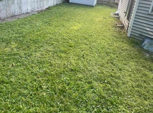 Ross C.'s Lawn Mowing Service service result