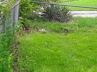 Cleanups by Julio Almestica for Brian F. in Kansas City, MO