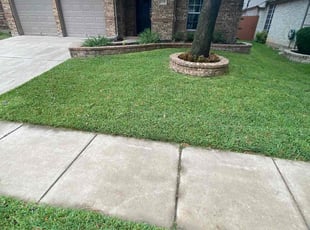 Tory H.'s Lawn Care service result