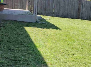 Pamela B.'s Lawn Care service result