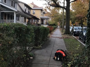 Leaf Removal by Kamonta Hackey for Sarah M. in Washington, DC