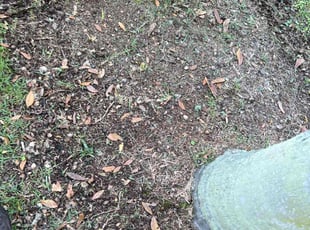 Weeding by Gerard Burnett for Catherine C. in Orlando, FL