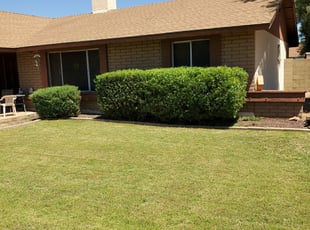 Bush Trimming by Damian Hudson for Matt M. in Glendale, AZ
