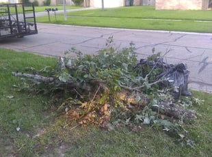 Cleanups by Bernell Martin for Donna S. in Baton Rouge, LA