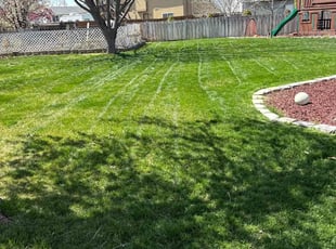Jessica E.'s Lawn Maintenance service result