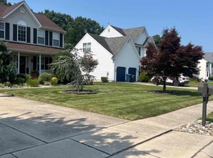 Austin C.'s Yard Cutting service result