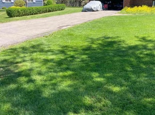 Larry U.'s Lawn Mowing service result