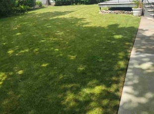 Marie K.'s Lawn Mowing service result