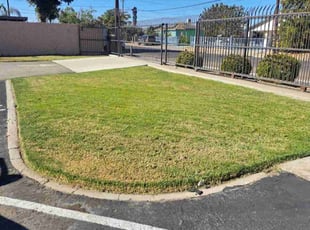 DOndria J.'s Lawn Mowing Service service result