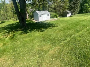 Chrissy R.'s Lawn Maintenance service result
