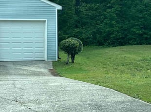Bush Trimming by Louis Sampson for Adjei B. in Austell, GA