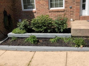 Weeding by David Featherstone for Michelene T. in Bowie, MD
