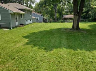 Laura C.'s Grass Cutting service result