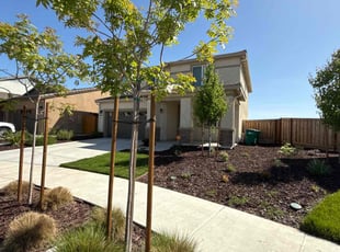 Linda W.'s Lawn Care service result