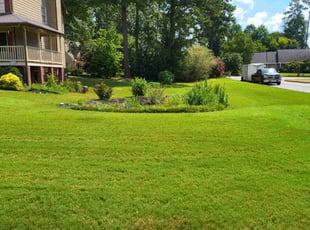 Asia W.'s Lawn Maintenance service result