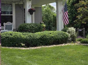 Raquel N.'s Bush Trimming service result
