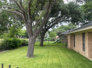 Grant H.'s Lawn Mowing service result