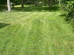Mike A.'s Lawn Care service result
