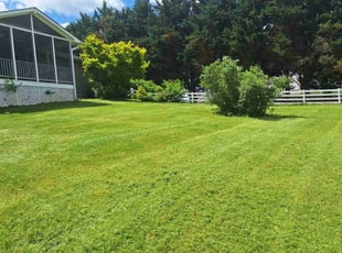 Donna A.'s Lawn Mowing service result