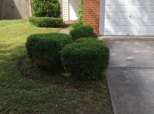 Bush Trimming by Aj Lundy for Rayvin D. in Virginia Beach, VA