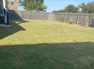 Disha K.'s Lawn Care service result