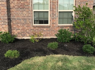 Landscaping by Justin Neeley for Salvador C. in Haslet, TX