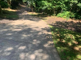 Julie T.'s Bush Trimming service result