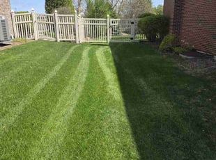 Steve B.'s Lawn Care service result