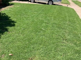 Marjorie S.'s Lawn Service service result