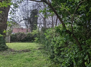 Bush Trimming by Bryan Halberstadt for Jordan D. in Nashville, TN