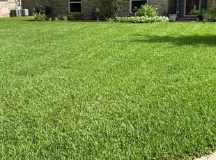 Cathy H.'s Lawn Mowing Service service result