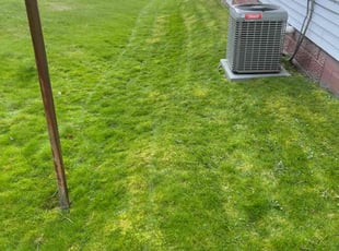Marianna O.'s Yard Cutting service result