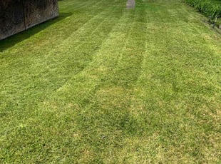 Karen B.'s Grass Cutting service result