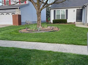 Clarence E.'s Grass Cutting service result