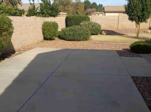 Bush Trimming by Curtis Mccowin for Patti G. in Glendale, AZ