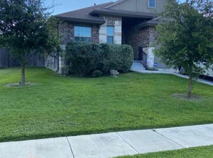 Ramon D.'s Yard Cutting service result