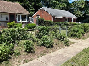 Bush Trimming by James Mozelle for barbara g. in Hampton, VA